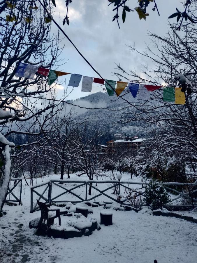Mars Monkey Hostel & Cafe 马拉里 外观 照片