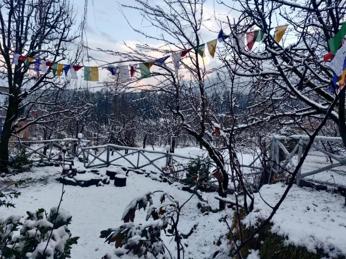 Mars Monkey Hostel & Cafe 马拉里 外观 照片